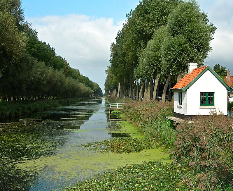  - Water Wood Earth