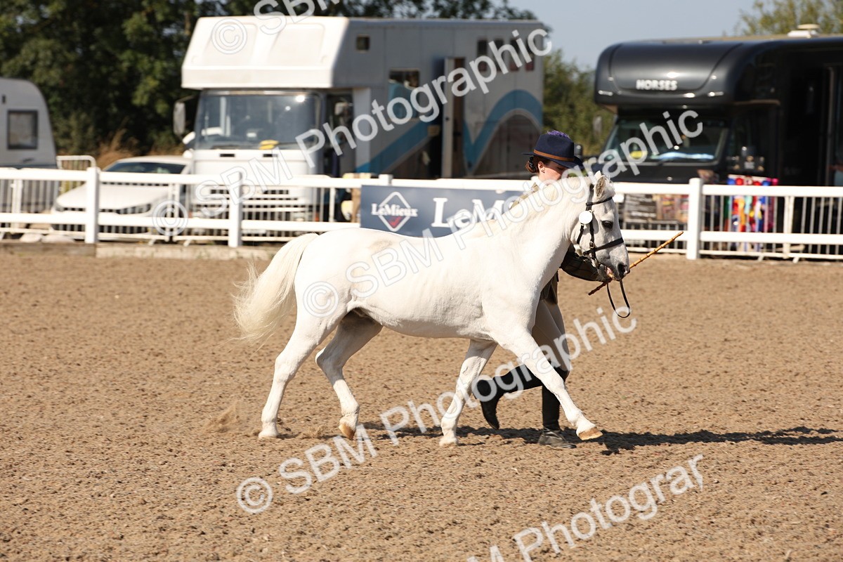 SBM_02705 - Class 16 IH M&M Wildcard