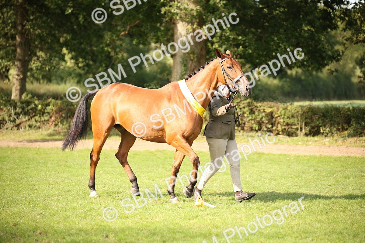 SBM_60142 - S53 - Hunter In Hand