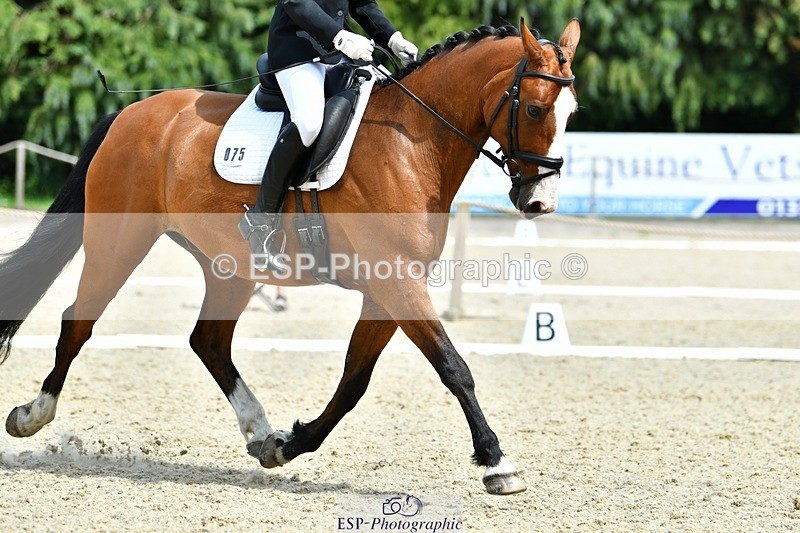 230623-145550-02629 - Cls 6 Elementary 53Q