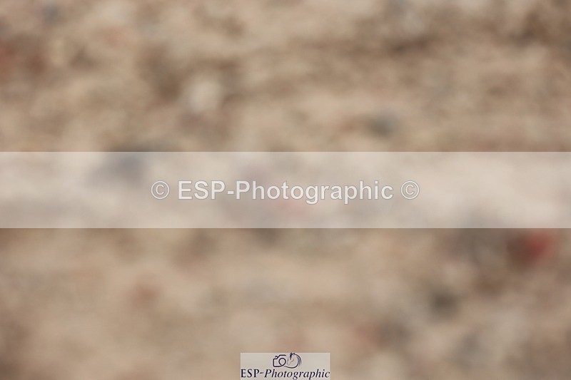 250621-093033-06020 - Cls 28 - Freestyle Novice