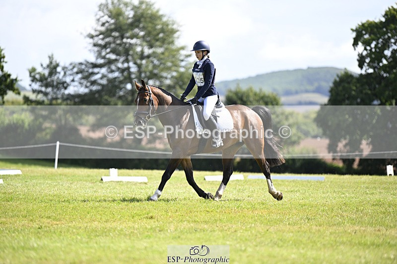 240824X-113005-25898_D80 Section E and F 1100 to 1200 - 077-650-1884