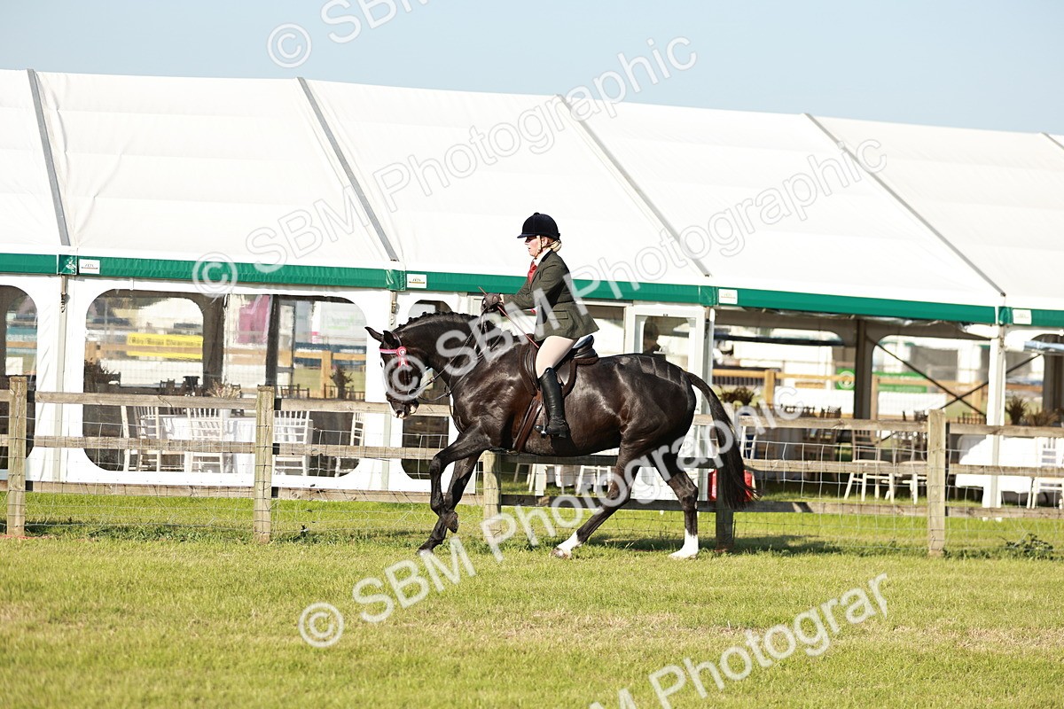 SBM_20106