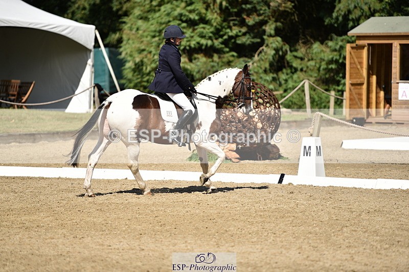 140110A-052352-12477 - 090-Debbie.Squires-Mystic.Spirit