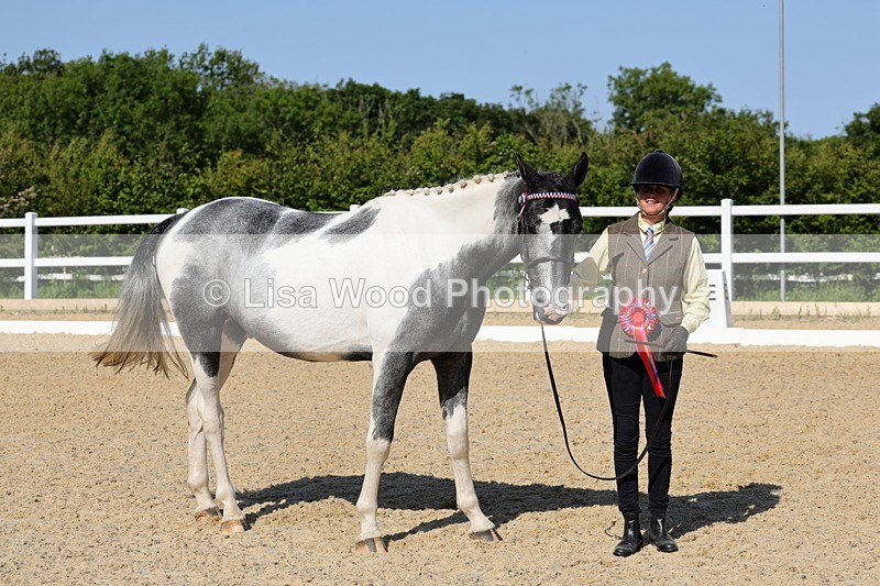 1X9A0811 - Class 4: Youngstock 1, 2, 3 year old to exceed 153cm