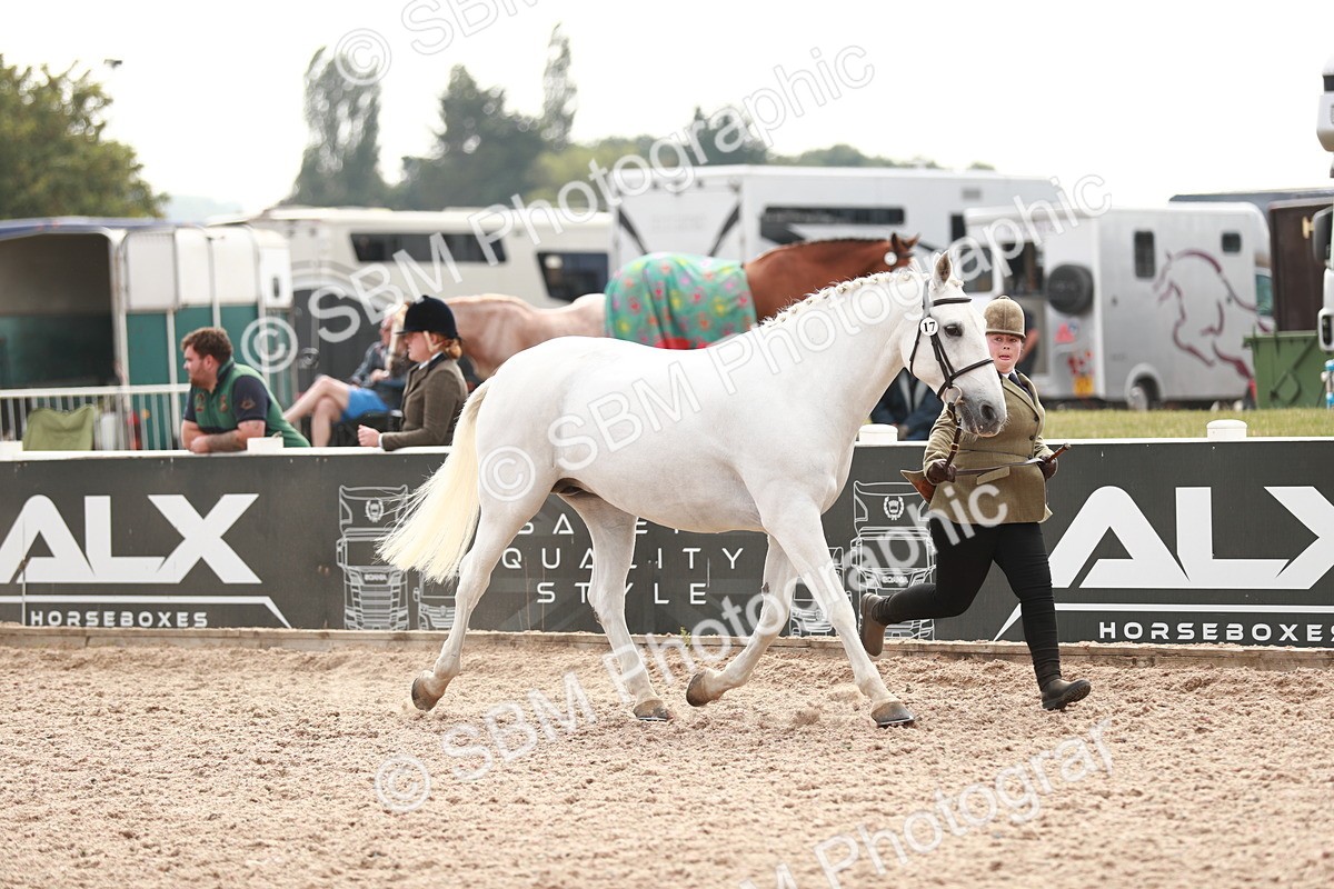 SBM_13190 - Class 208 IH Veteran Horse