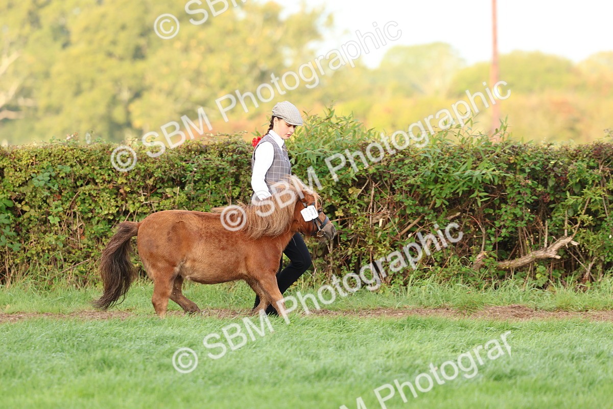 SBM_54782 - S39 - Starters In Hand Showing