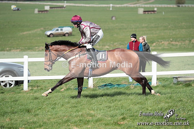 PtP 230324 528 - Tedworth Hunt PtP Larkhill Raccourse 23rd March 2024