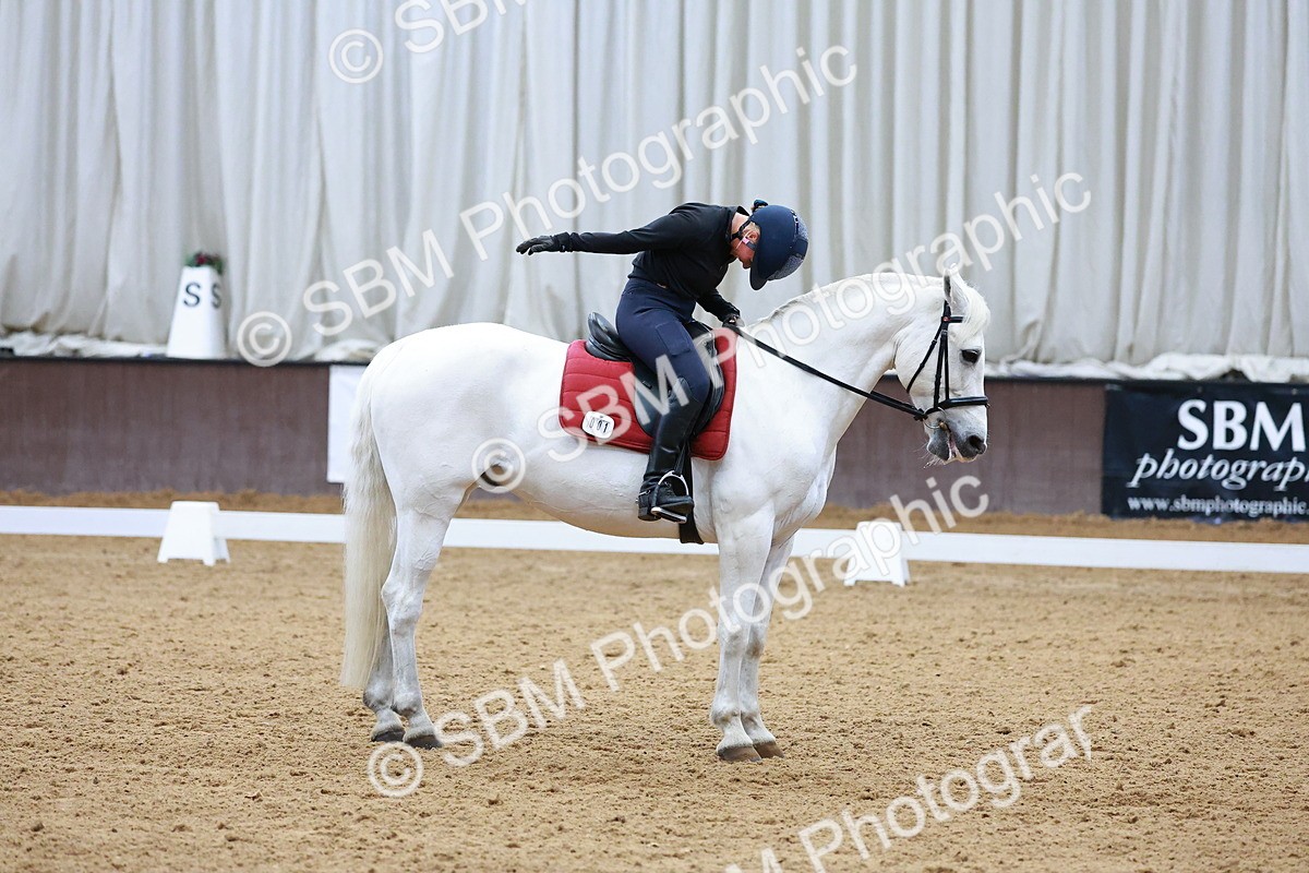 1I0A0597 - Class 3-6 - Prelim 1-Novice 2