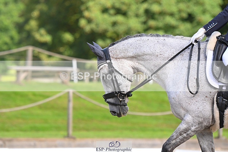 230811-093133-00038 - Cls 3 Adv Medium Bronze Start to 10.25 break