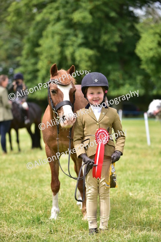 20260614-3726 - Class 15 - Prettiest Mare