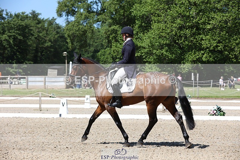 230526-111655-06022 - 151-GREANNANSTOWN_QUARRYMAN_GIRL-Grace_Taylor-WEDTrotUp+DR