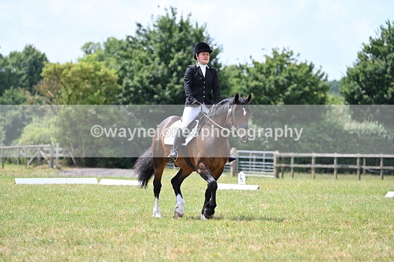 WJ7_5564 - Time 11:52 to 12:10