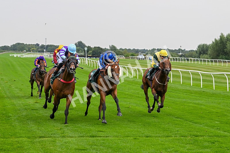 280824-Race 3-Too Much Too Young-4253 - Race 3