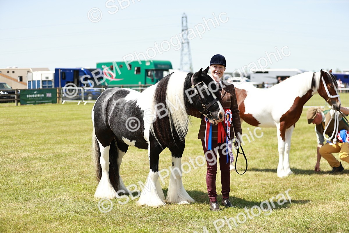 SBM_05524 - Class 41-45 - Riding Pony-Hunter Pony Breeding