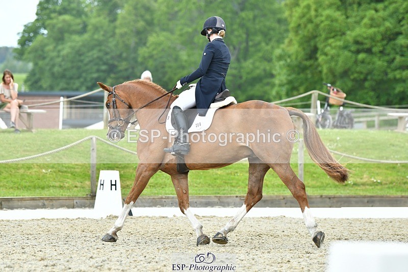 230525-121918-04224 - 208-NICO-Holly_Clarke-WEDTrotUp+DR