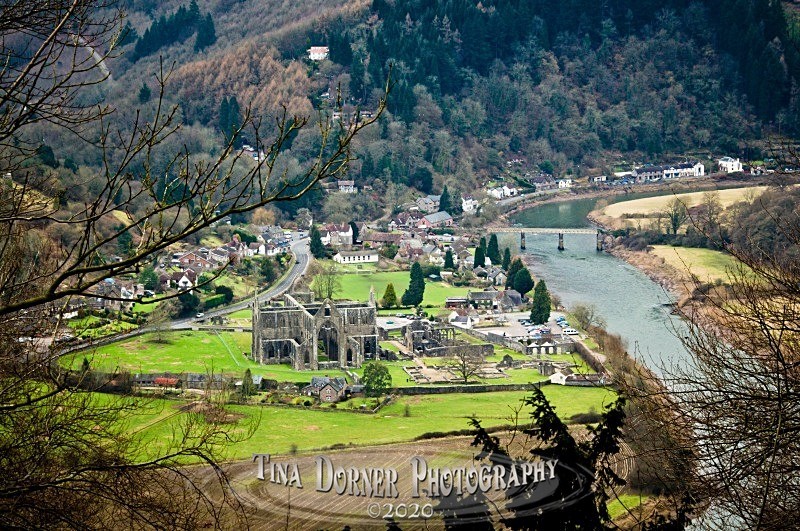 Tintern Abbey from Devils Pulpit. by Tina Dorner Photography, Forest of Dean and Wye Valley, Gloucestershire