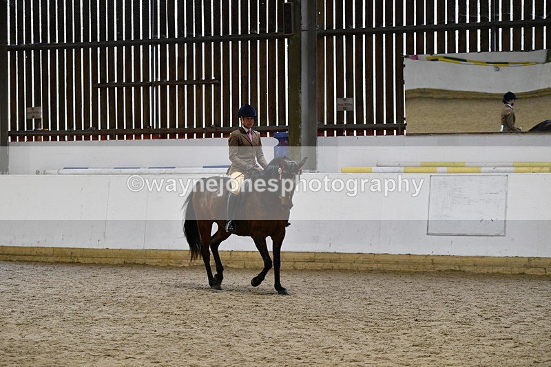 WJ5_8914 - Class 15 Ridden Show Horse