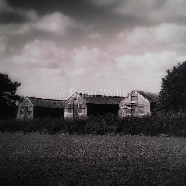 Chicken Sheds, Filby Heath. - The Black & White Gallery