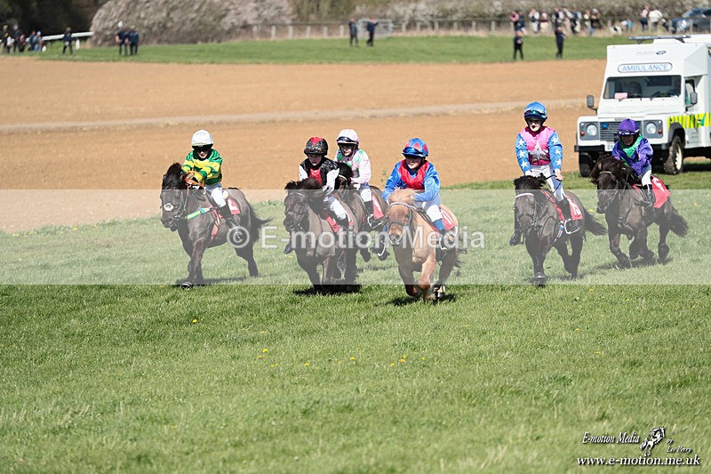 Shet 060426 251 - Shetland Pony Racing Paxford Races Easter Mon 06/04/26