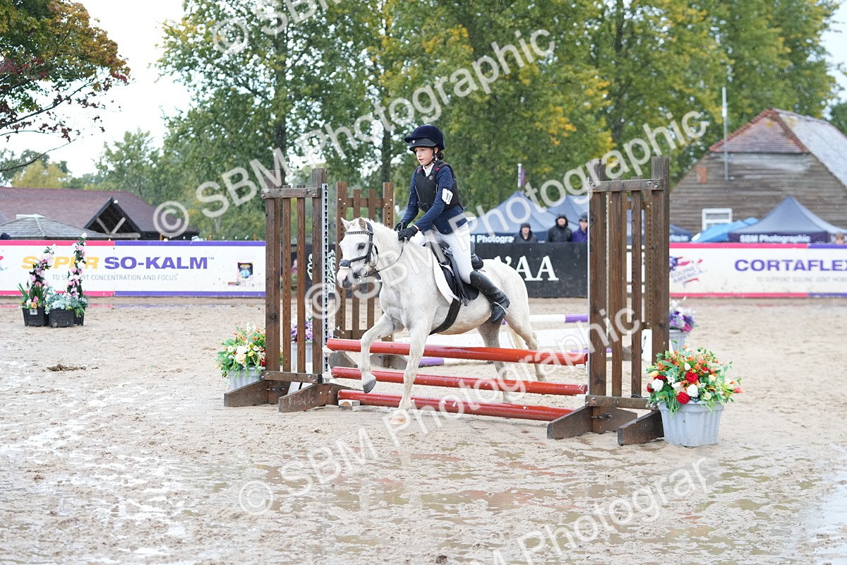 SBM_36364 - J5 - Junior Pony 50cm Championship