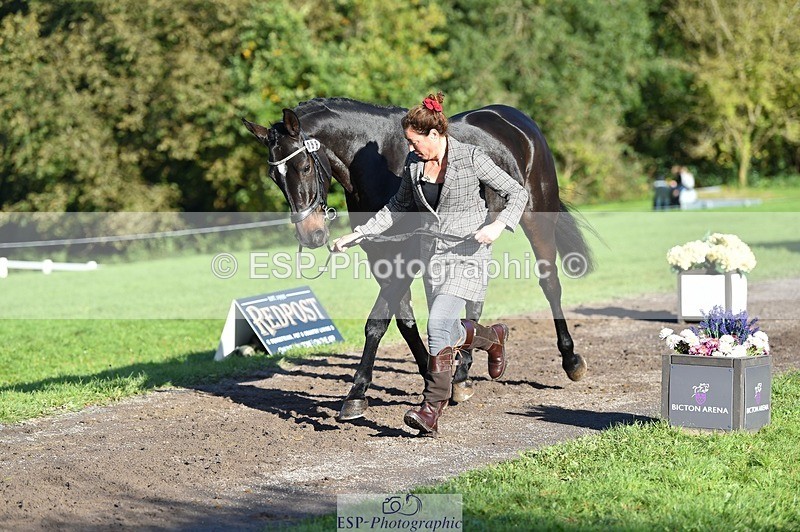 231022-101332-22316 - 468-PRIMITIVE.DAYLIGHT-Alexandra.Erskine.Scott-TrotUp+SJ