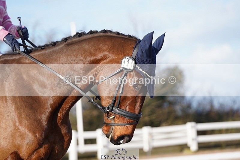 241214-120808-00431 - 121-Ella.Weeks-Plough.On