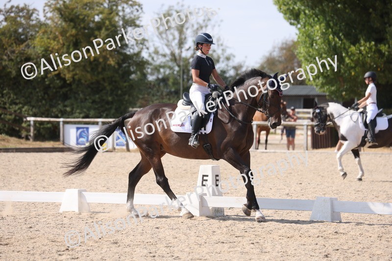 20260815-1164 - Class 6 - Novice 2