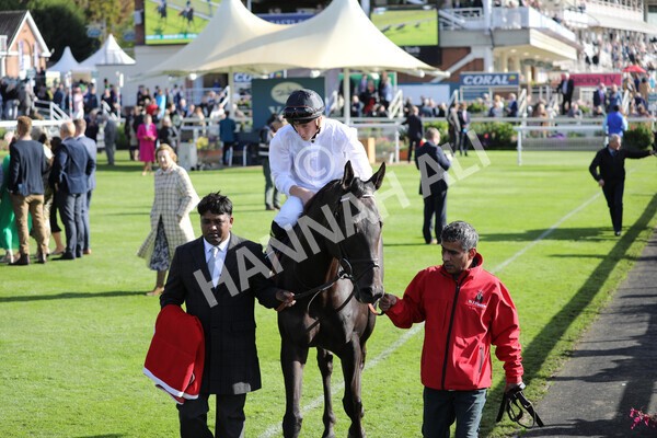 yr08102022r3-14 - Race 3 2.40pm The Coral 'Beaten-by-a-Length' Free Bet Handicap