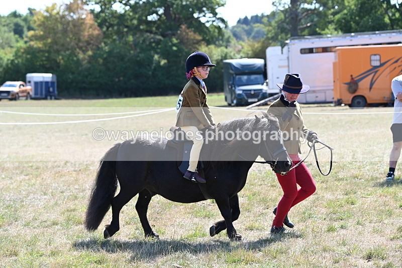 WJ6_7716 - Class 36 Lead Rein
