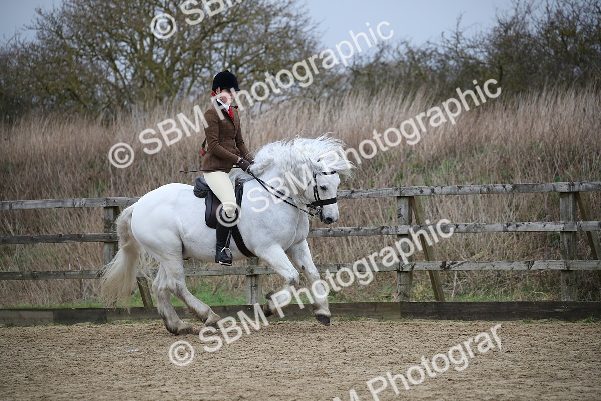 SBM_006119 - Class 10-13 - RIHS Small Large Breeds