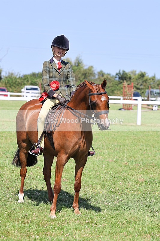 IMG_2063 - Class 34: Show Hunter Pony 153cm and under