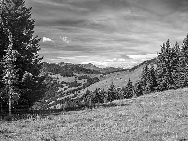 Mittermooser Joch 8 - Travel, city/land scapes