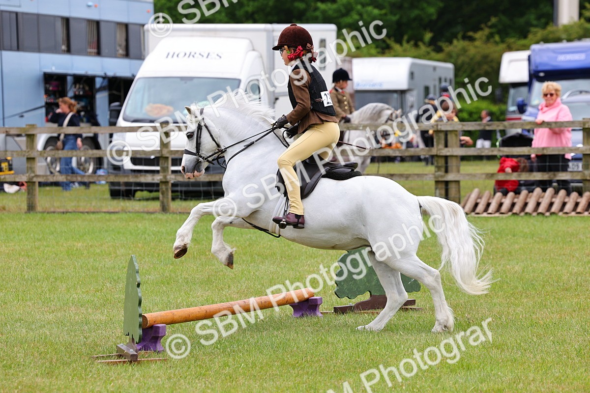 SBM_08722 - Class 42-43 - LIHS BSPS Heritage Working Sports Pony