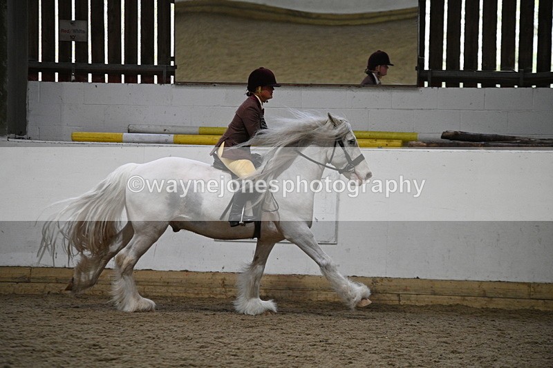 WJ7_3688 - Class 16 Ridden Coloured/ Odd Coloured