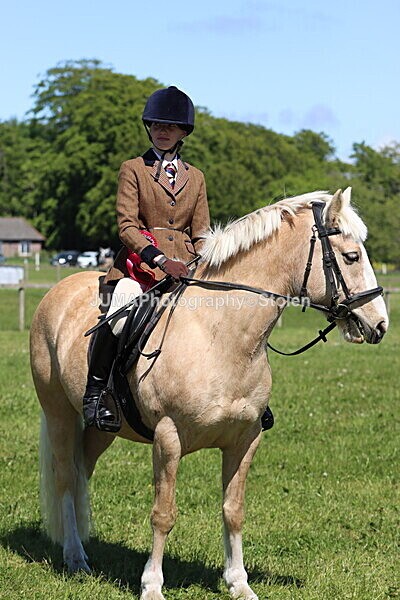 IMG_3933 - Working Hunter