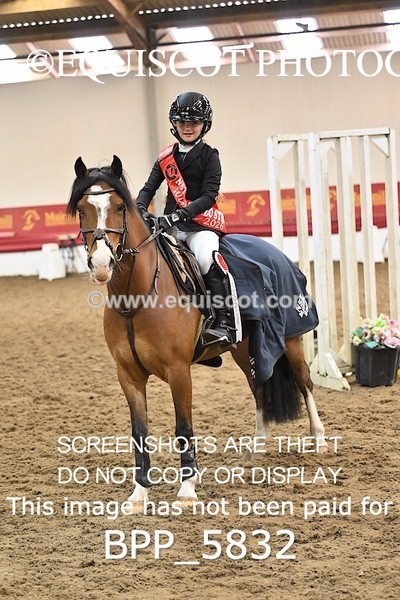BPP_5832 - CLASS 3 PONY 40CM FINAL