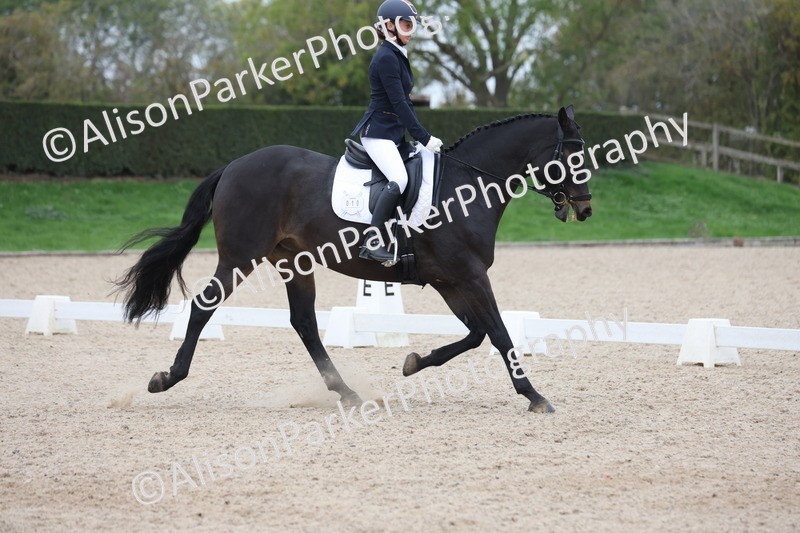 20251011-0463 - Class 4 - Novice 2