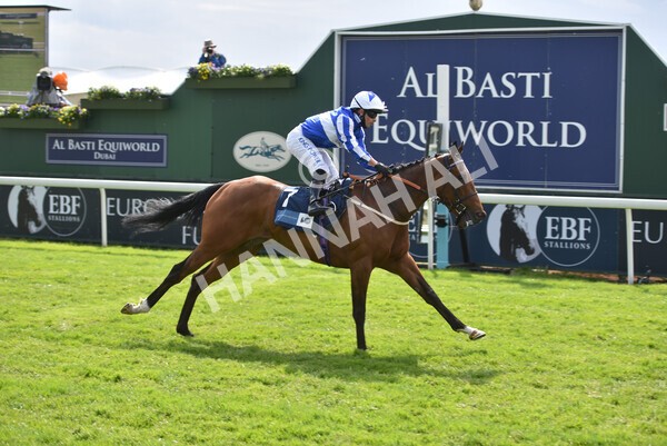 yr13052021r5-25 - Race 5 3.40pm British Stallion Studs EBF Westow Stakes