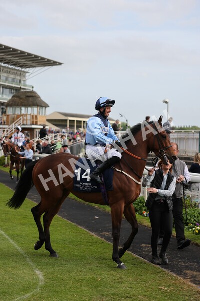 yr13052022r7-18 - Race 7 5.15pm Longines Irish Champions Weekend Stakes