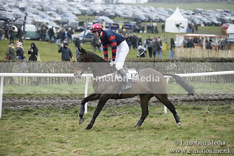 PtP 020418 -85 - Old Berks Point-to-Point Races Easter Monday 02/04/18