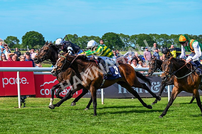 300526-Race 6-Vietnorm-6740 - Race 6 16.32pm ICS Cleaning Services Handicap