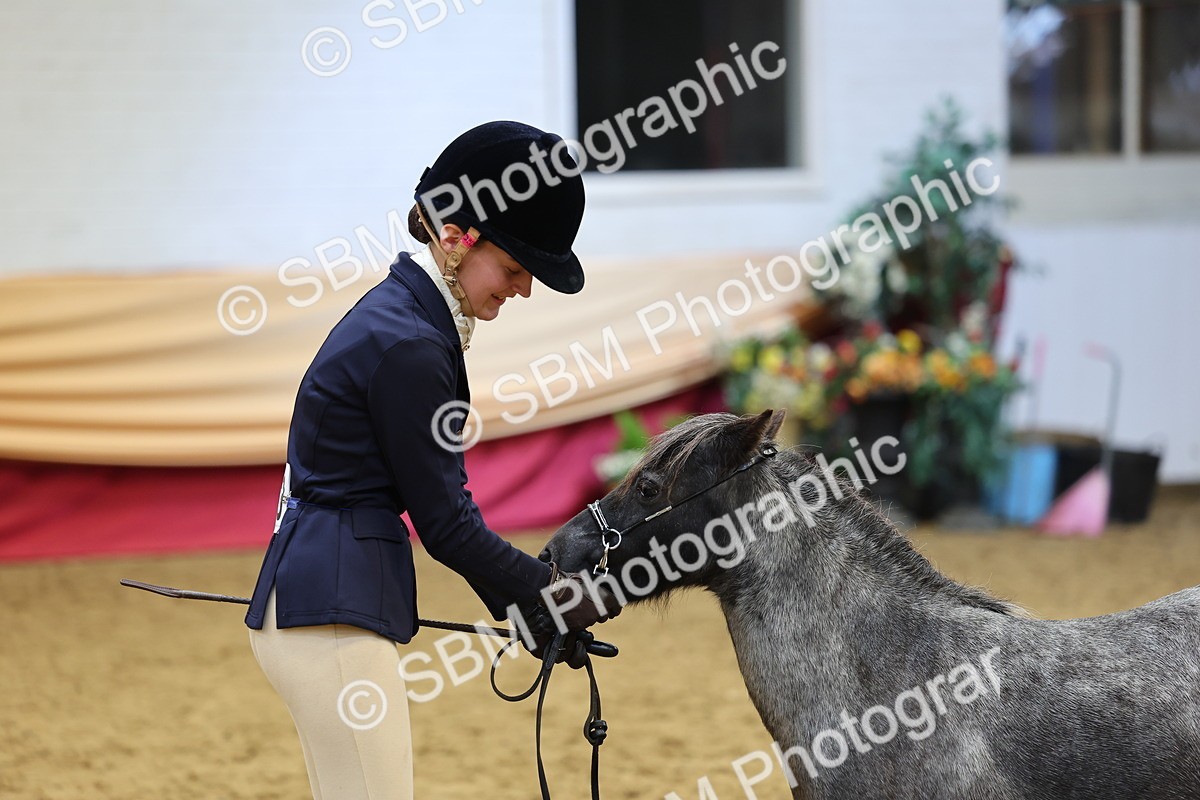 SBM_22856 - Class 903 - Supreme Final - IH Pre Vet