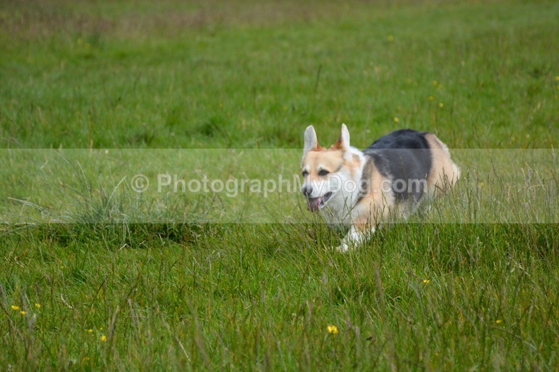  - Eric, Ulla, Maisie and Lola