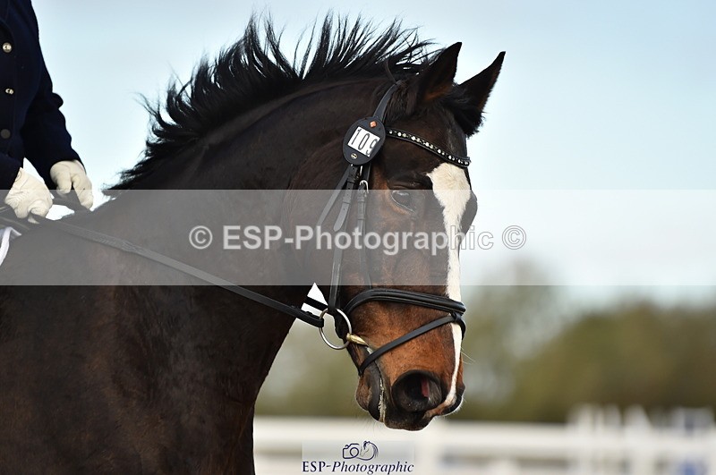 231104A-152736-02364 - Cls 14 Adv Medium 98