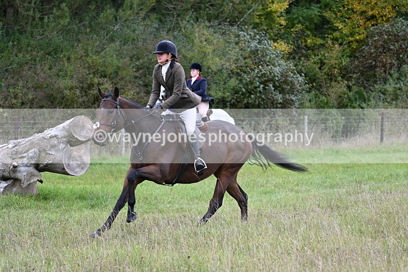 WJ7_3938 - Camera 1 Line 1