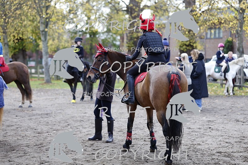 _T0A1795 - Class 3 45cm