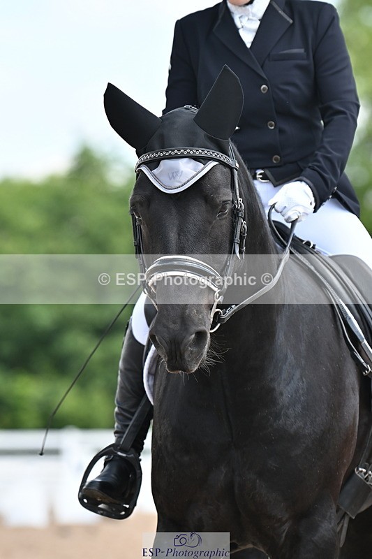 240621A-111101-01916 - Cls 4 BD Novice 22