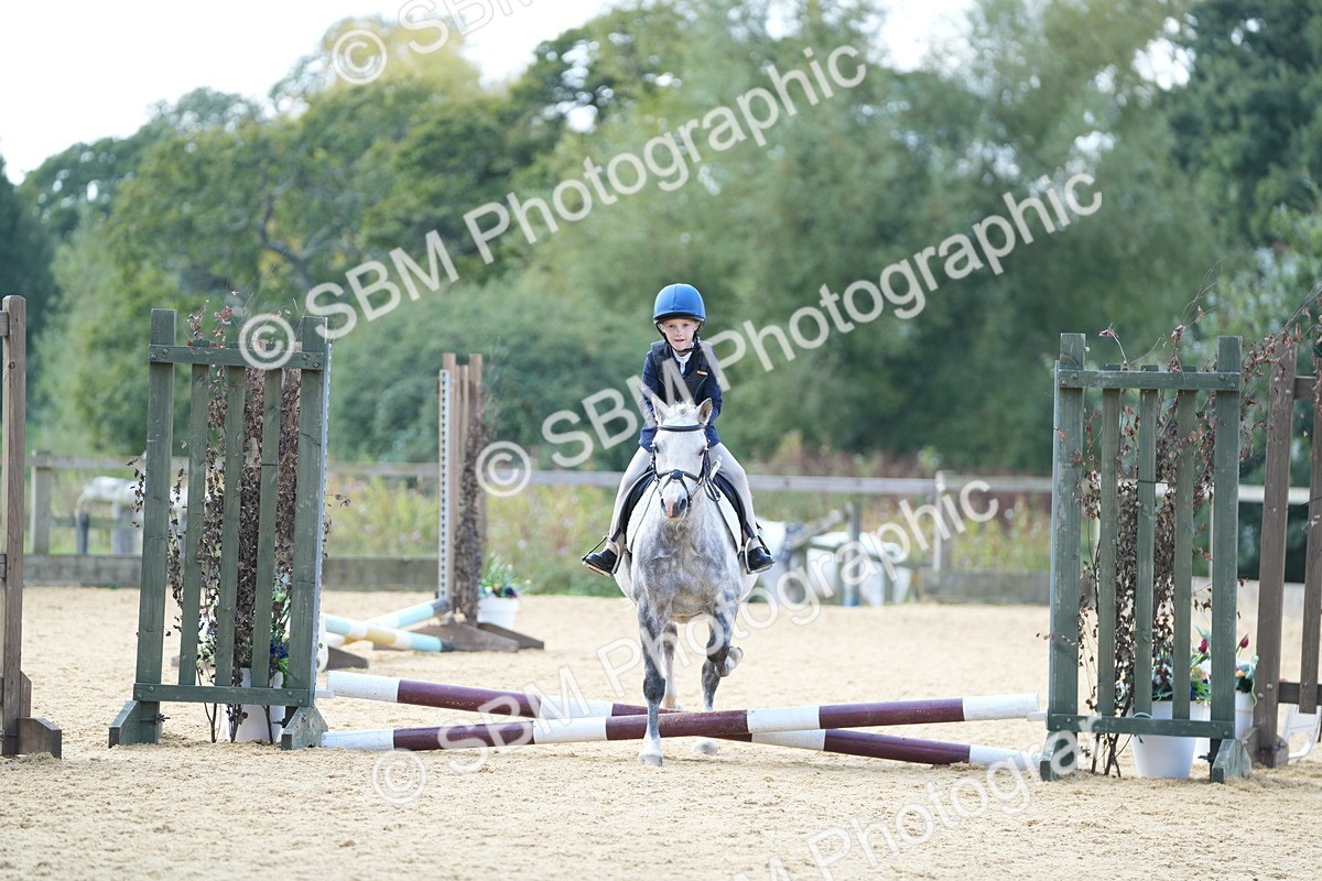 SBM_64602 - J2 - Mini Tour Junior Pony 30cm Championship