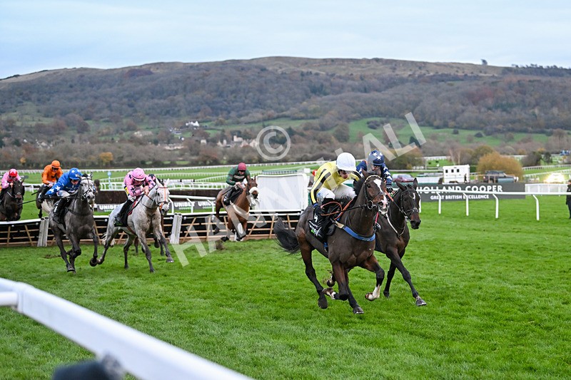 171124-Race 5-Burdett Road-4295 - Race 5